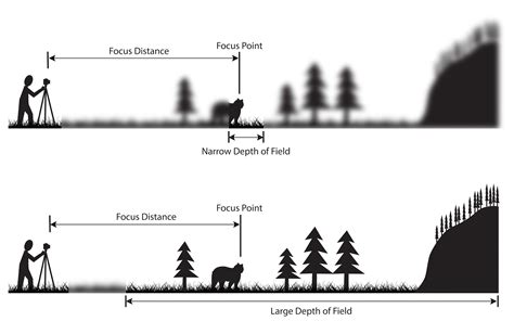 shallow switch depth chart